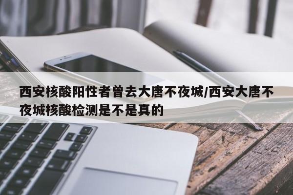西安核酸阳性者曾去大唐不夜城/西安大唐不夜城核酸检测是不是真的