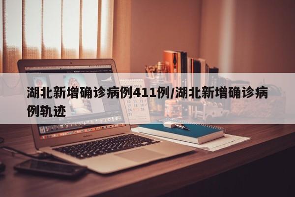 湖北新增确诊病例411例/湖北新增确诊病例轨迹
